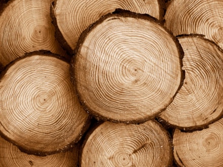 Timber / Forestry